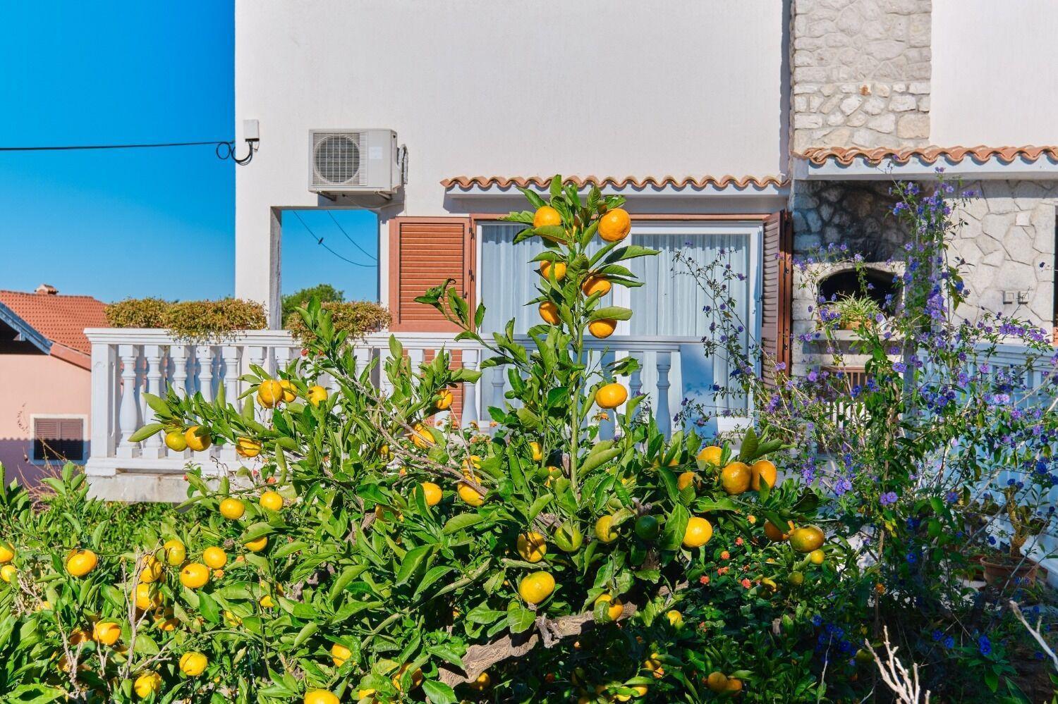 Apartment Luce Mali Lošinj Exterior foto